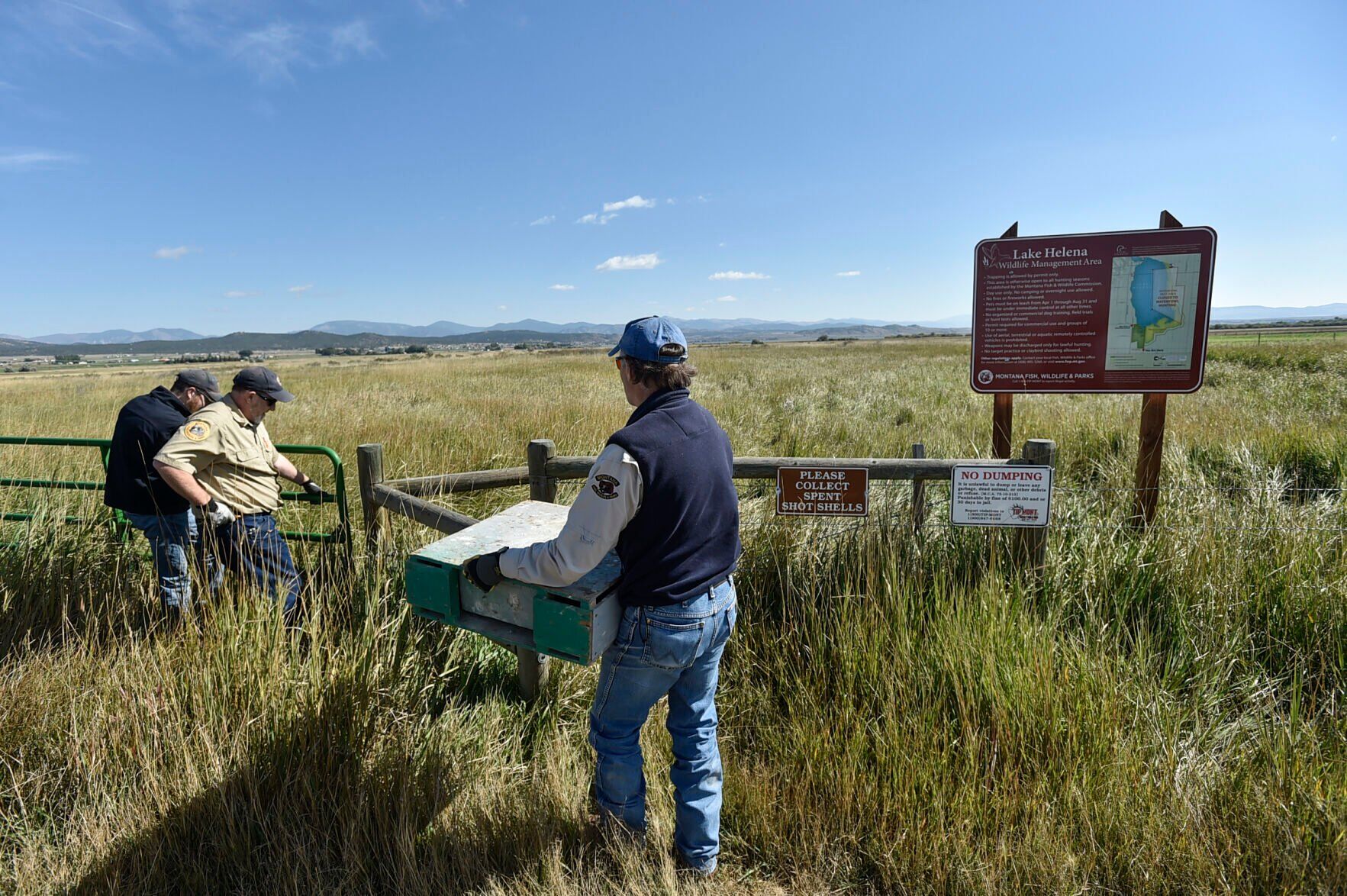 Pheasant release